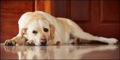 En 2007, ça y est, là, ça va bouger ! Nicolas Sarkozy est élu président de la République. Cette année sort le film...