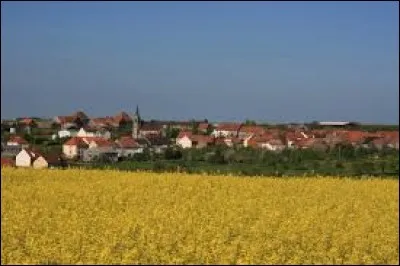 Village du Grand-Est, dans le Pays de Bitche, Schmittviller se trouve dans le département ...