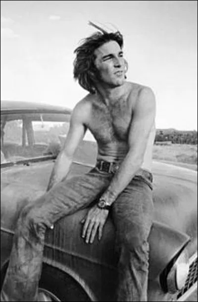 Dennis Wilson est le batteur des :
