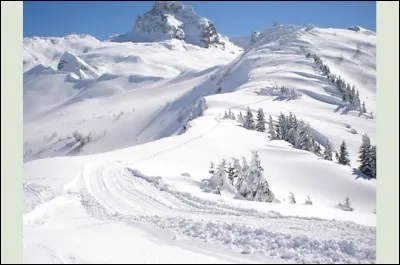 Quel est ton sport préféré ?