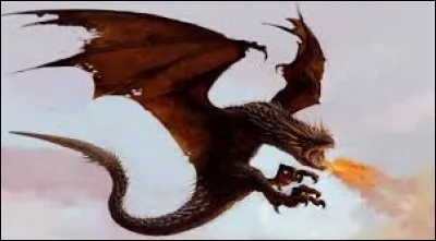 En cas d'attaque, que fais-tu ?