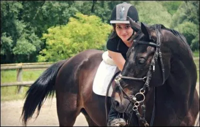 Quel est ce cheval ?