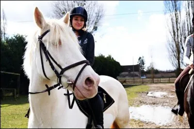 Quel est ce cheval ?