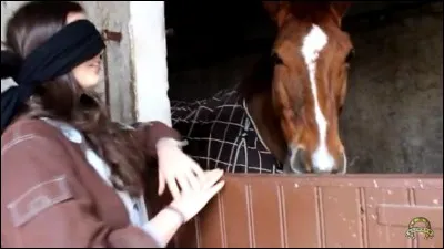 Quel est ce cheval ?