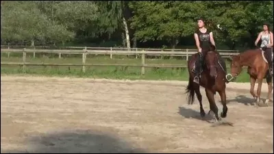 Quel est le cheval alezan, le plus clair ?