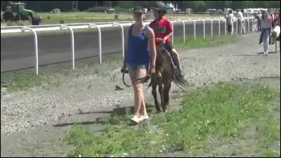 Quel cheval, Wendy demande-t-elle en mariage dans la vid&eacute;o "devine qui c'est" ?