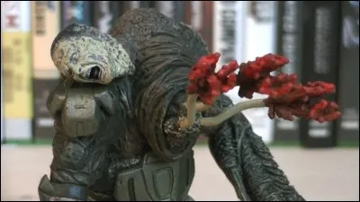 Comment s'appelle ce Parasite ?