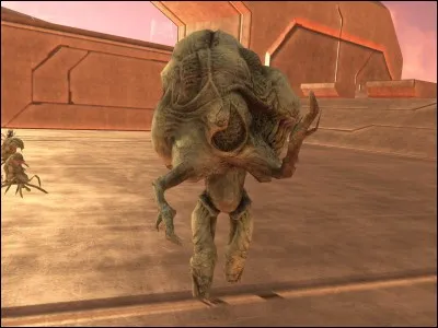 Comment s'appelle ce Parasite ?