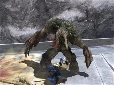 Comment s'appelle ce Parasite ?