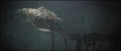 Comment s'appelle ce Parasite ?