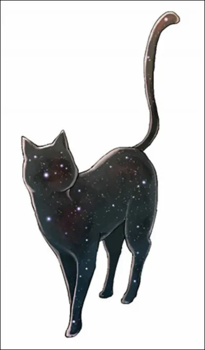 Comment s'appelle son chat ?