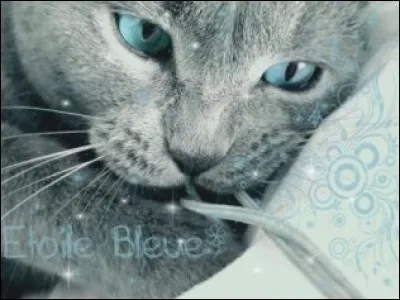 Comment Étoile bleue meurt-elle ?