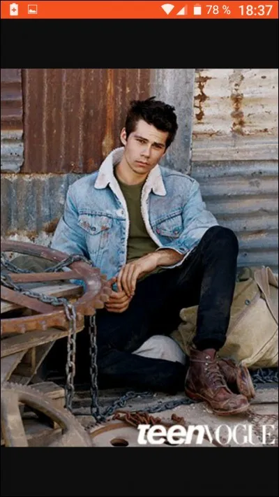 Quel acteur interprète le personnage de Stiles ?