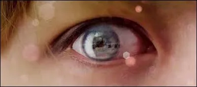 À qui appartient cet il ?