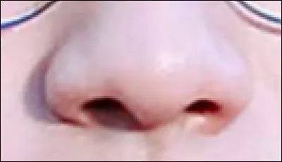 À qui appartient ce nez ?