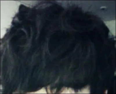 À qui appartiennent ces cheveux ?