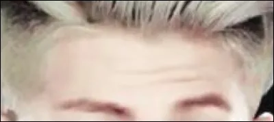 À qui appartient ce haut de tête ?