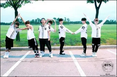 Que signifie A.R.M.Y ?