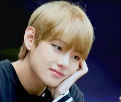 À qui se confie V ?