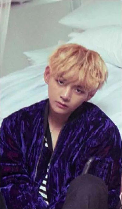 Quelle est la taille de V ?