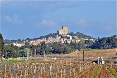 Quand on parle d'un vin de Châteauneuf-du-Pape c'est forcément du ____.