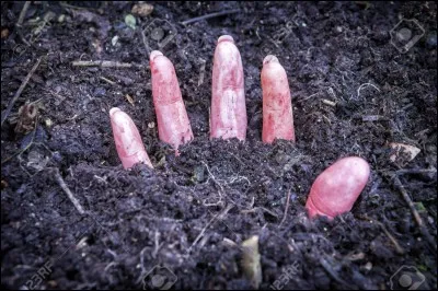 Si une prêtresse de ce collège perdait sa virginité, elle était systématiquement enterrée vivante. Qui sont-elles ?