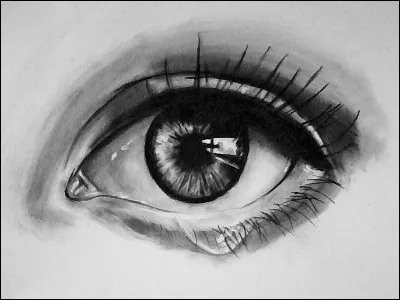 Pour la beauté du zeste.