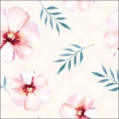 Outil servant à briser les tiges de chanvre et de lin :