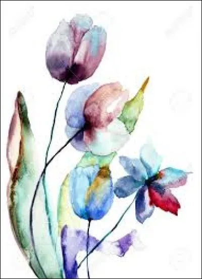 Qu'il soit singe de Barbarie, macaque de Barbarie, macaque berbère, c'est lui !