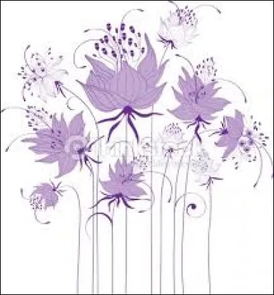 Nappe d'eau de mer séparée du large par un récif corallien :