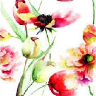 Plaisanterie moqueuse :