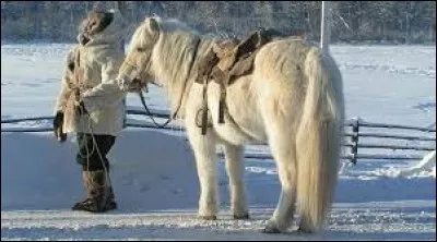 Qu'est-ce que le yakoute ?
