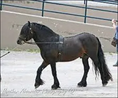 Que veut dire "fell" ?