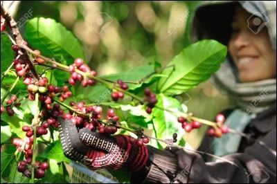 Belgique : prendre une jatte !