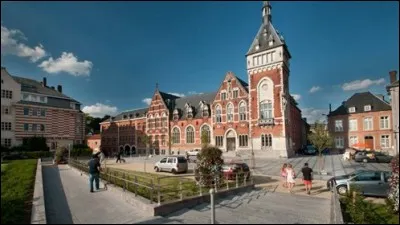 Les mutineries françaises de 1917 ont éclaté à la suite de l'échec d'une offensive que tous espéraient décisive. Laquelle ?