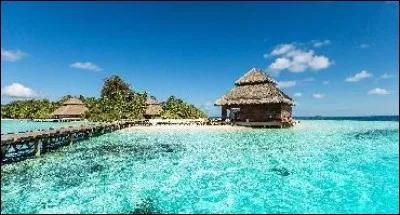 Dans quel pays vivent les séparatistes tamouls ?