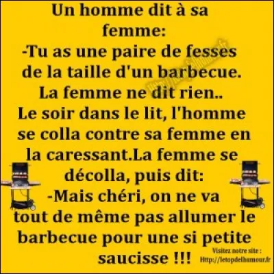 Qui a écrit les électeurs sont des rôtisseurs. Un homme politique est cuit dés lors qu'il cesse d'être cru !