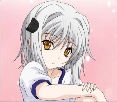 Quelle est la race de Koneko ?