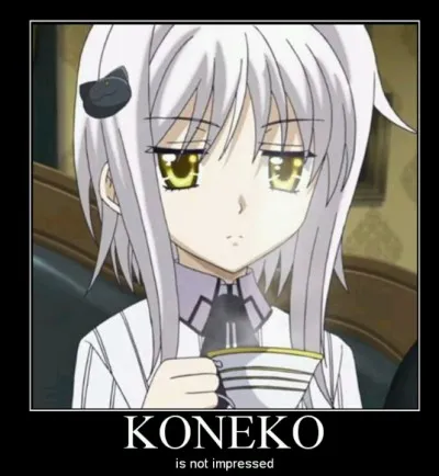 Qui est Koneko pour Issei ?