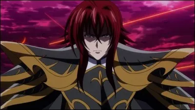 Qui est le frère de Rias Gremory ?