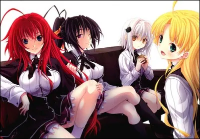 Qui a la plus grosse poitrine dans le clan Gremory ?