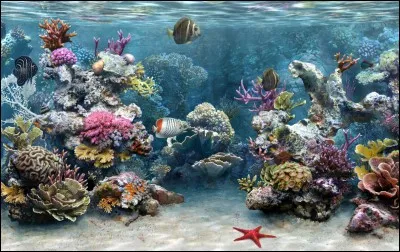 Le xipho vit principalement dans de l'eau :