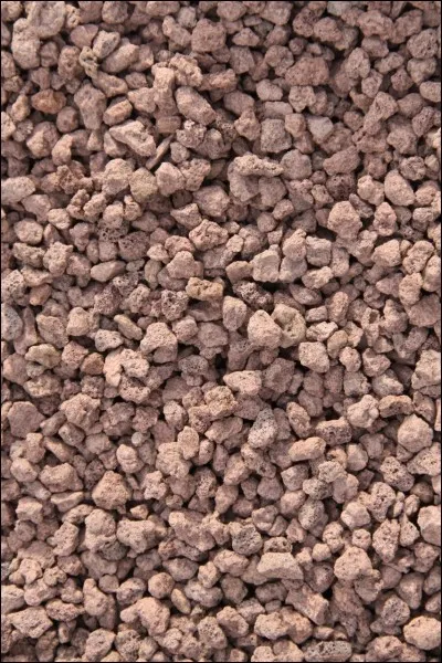 Quelle est la durée de vie d'un killies ?