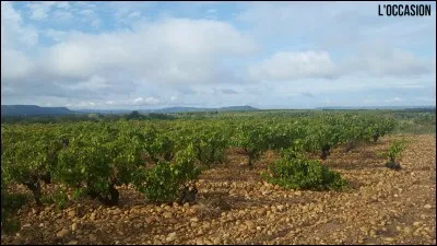 Commune du département du gard productrice de vin mondianlement connue.