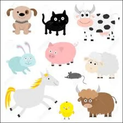 Lorsque une personne ne vient pas à un rendez-vous ; quel animal peut-elle nous poser dans une expression bien connue ?