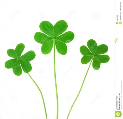 On dit que la patte de cet animal est un porte-bonheur !