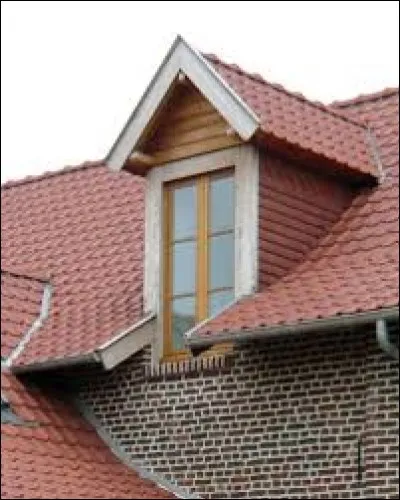 Lucarne de petite dimension propre aux toits à faible pente, couverte par un rampant unique en pente inverse de celle du toit. Cochez le bon animal !