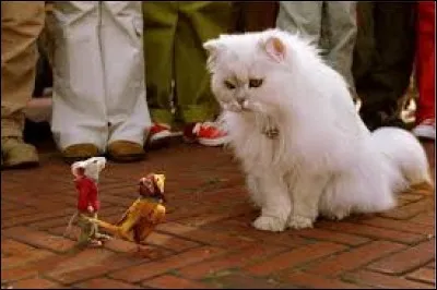 Quel animal Stuart Little est-il ?