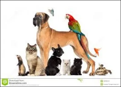 J'ai été créé en 1963 !