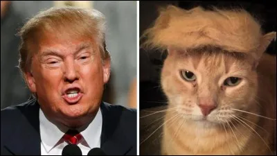 Donald Trump a fait &eacute;riger une Trump Tower &agrave; Phoenix, ville o&ugrave; est n&eacute; son pire ennemi d'enfance :